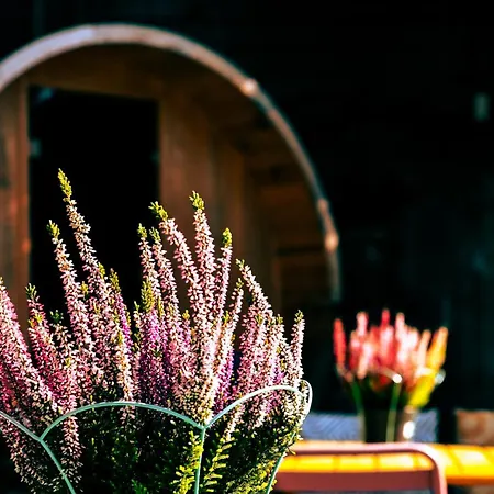 Sfeervolle In De Voerstreek Lo-ghis - Met Zwembad 3* Вурен