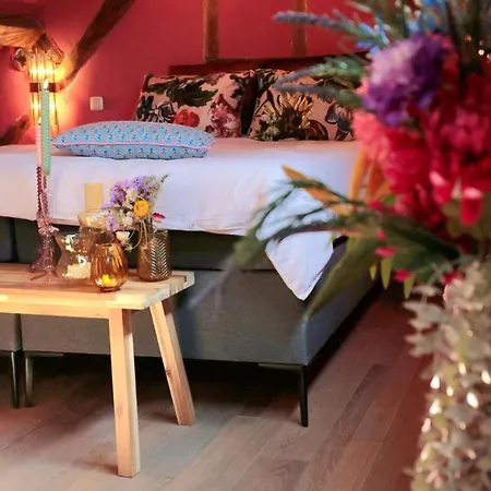 Bed & Breakfast Sfeervolle In De Voerstreek Lo-ghis - Met Zwembad 3*